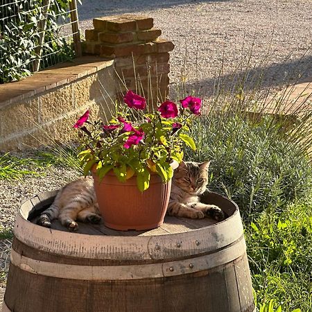 Fornace Del Conte Apartment Abbadia di Montepulciano Luaran gambar
