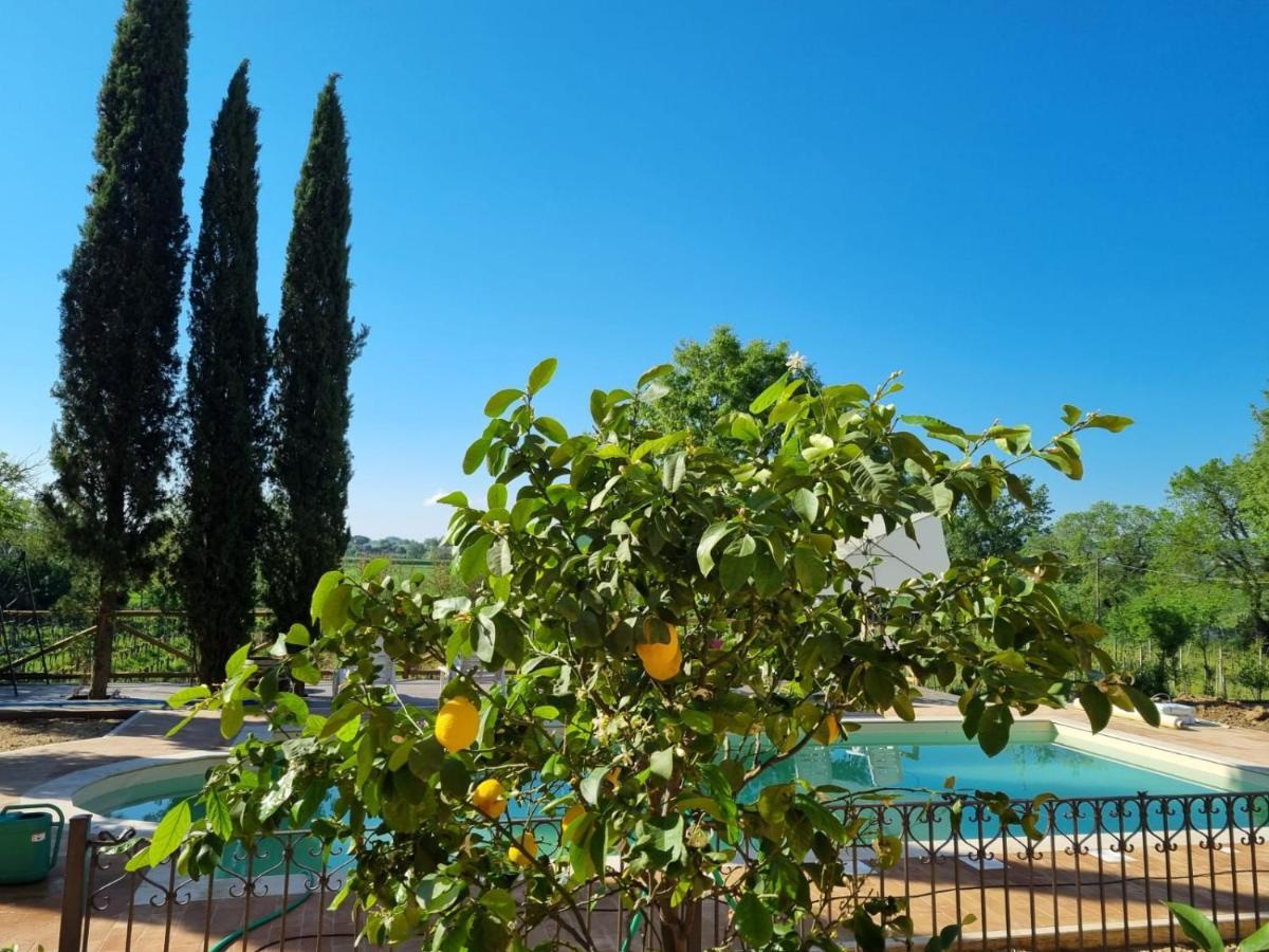 Fornace Del Conte Apartment Abbadia di Montepulciano Luaran gambar