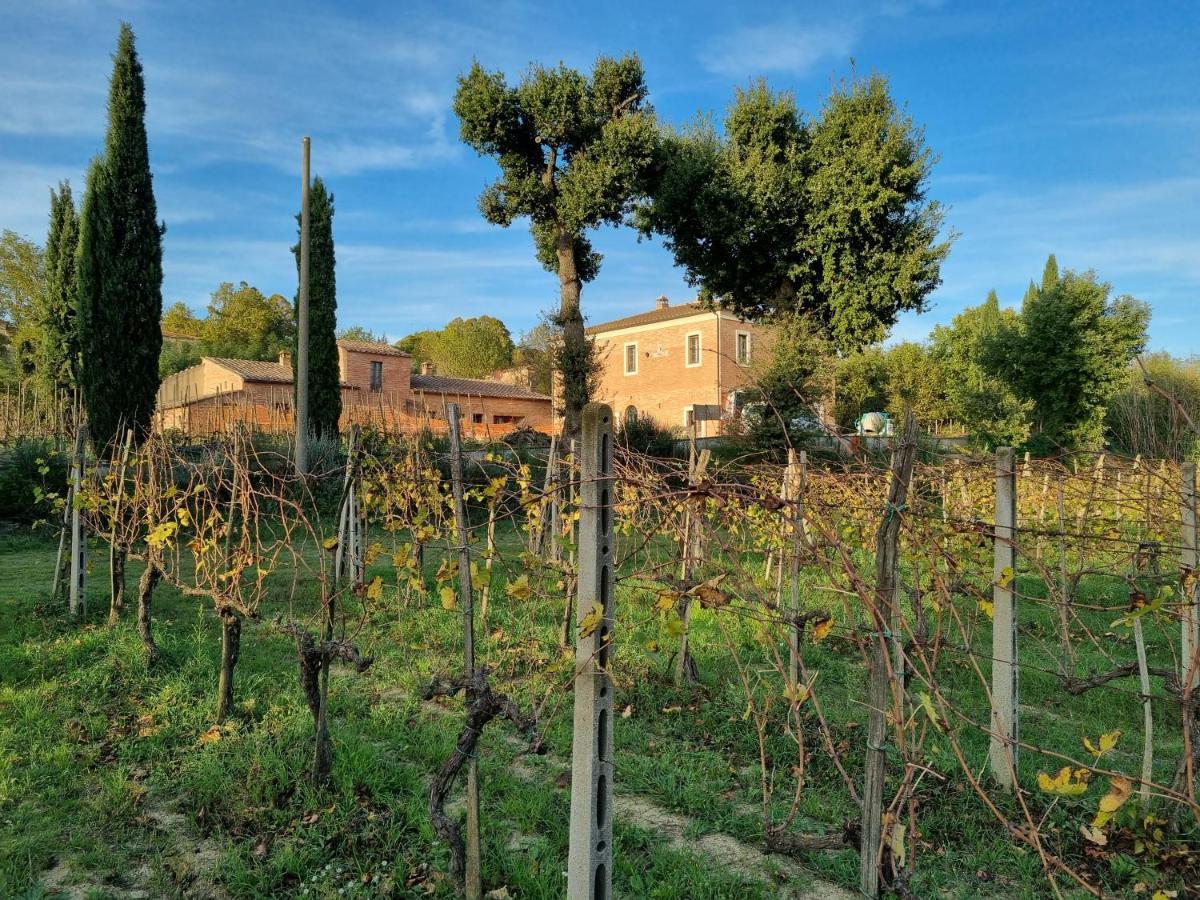 Fornace Del Conte Apartment Abbadia di Montepulciano Luaran gambar