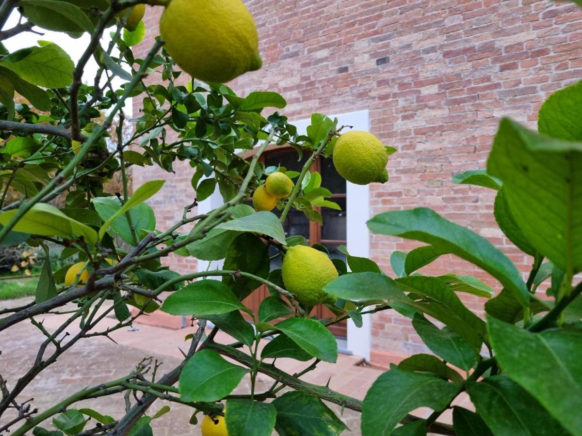Fornace Del Conte Apartment Abbadia di Montepulciano Luaran gambar