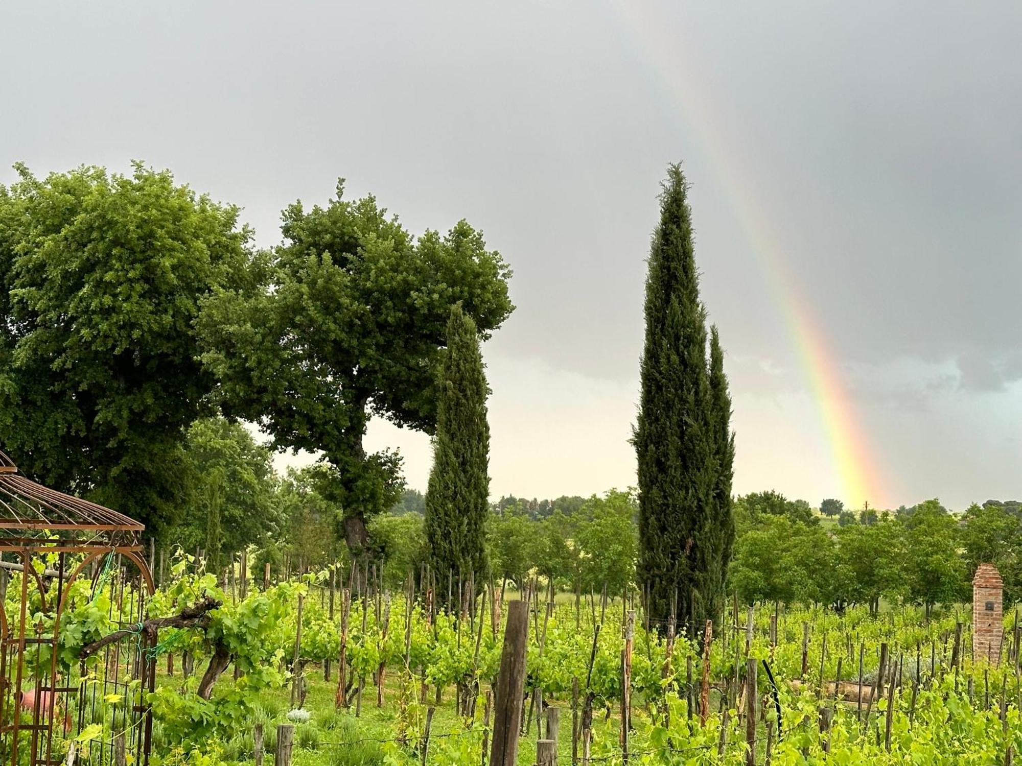 Fornace Del Conte Apartment Abbadia di Montepulciano Luaran gambar
