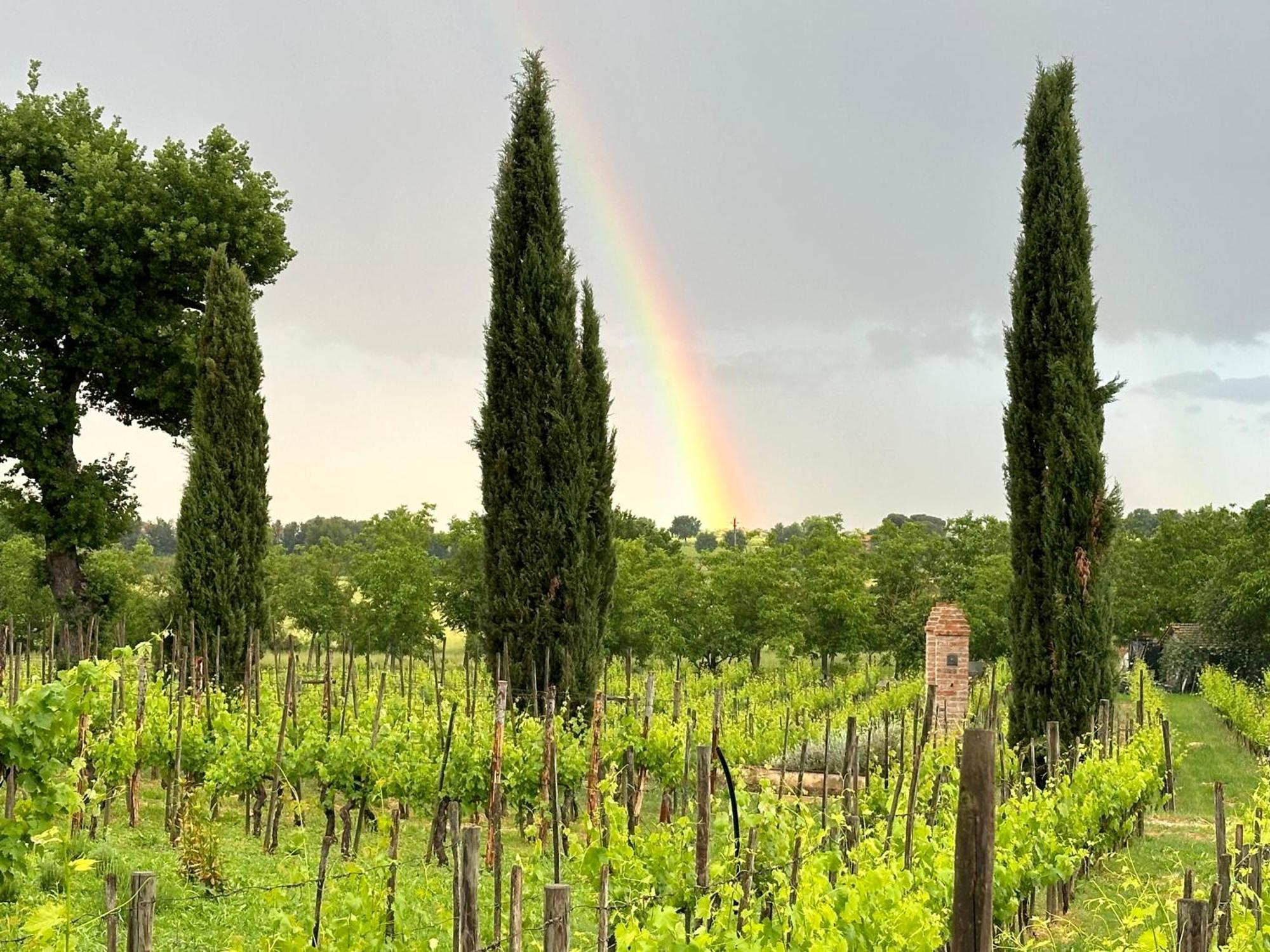 Fornace Del Conte Apartment Abbadia di Montepulciano Luaran gambar