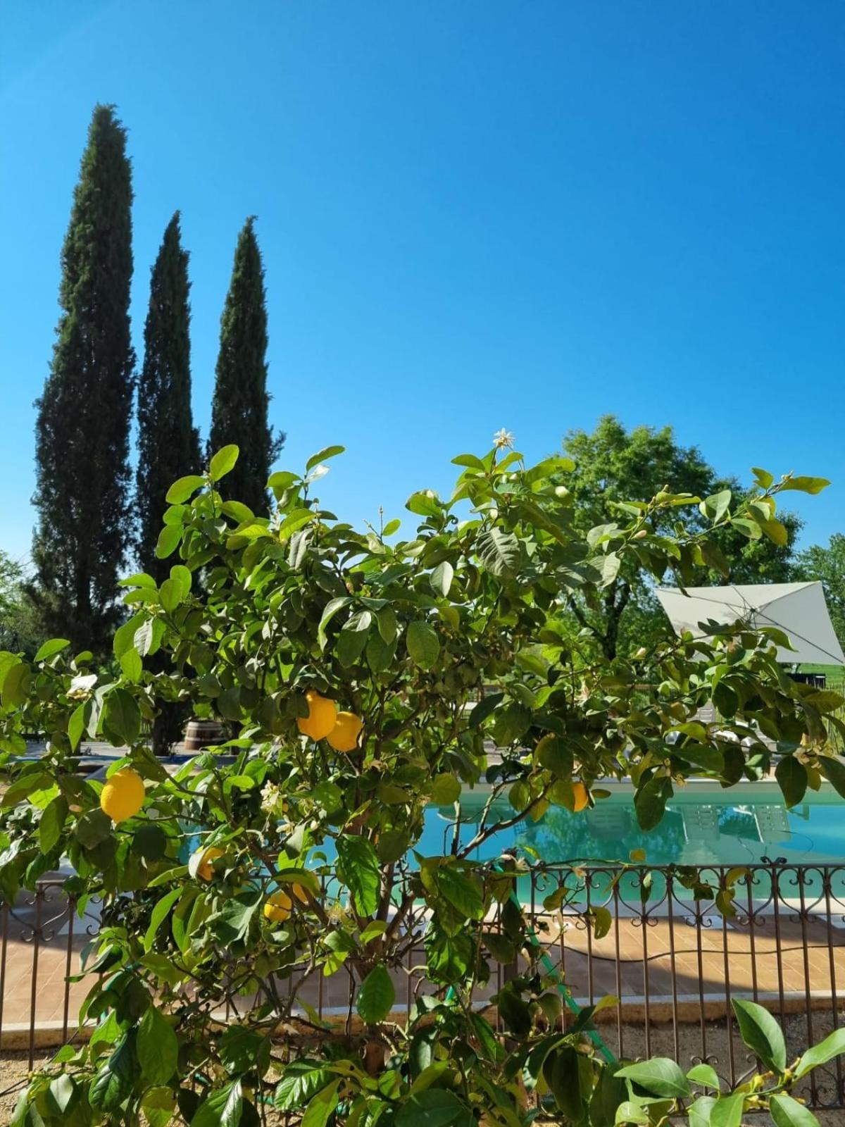 Fornace Del Conte Apartment Abbadia di Montepulciano Luaran gambar